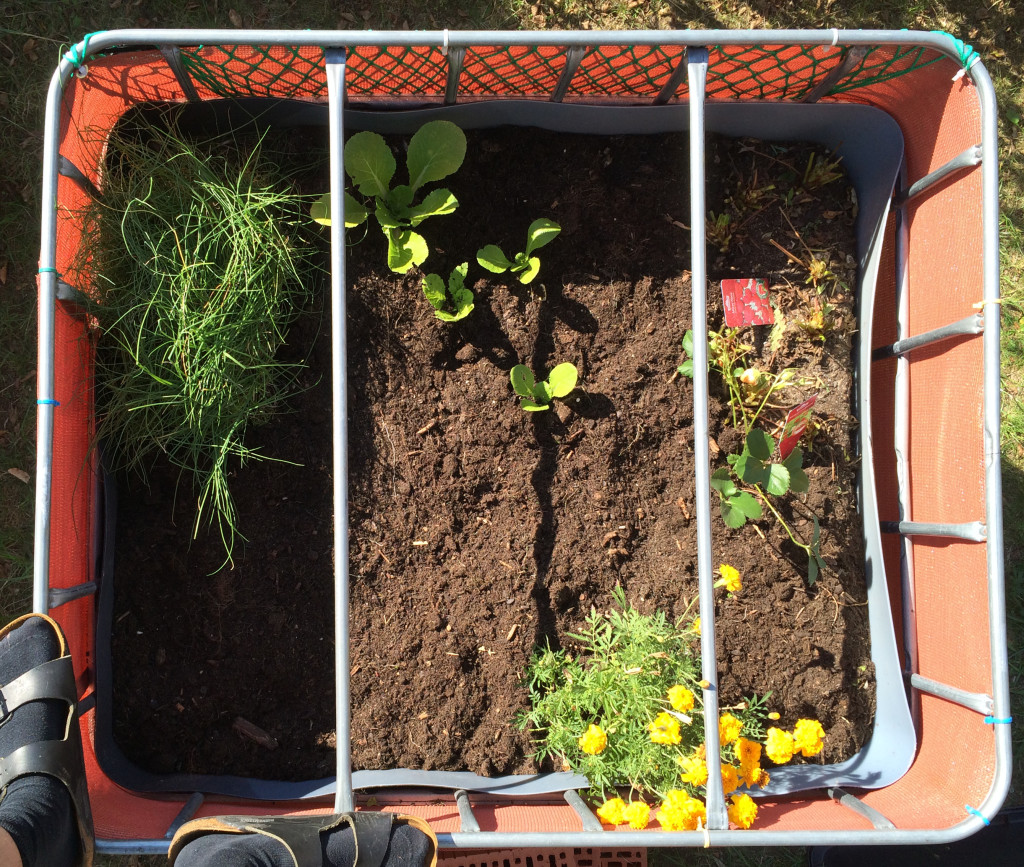 Raised flower bed - 2015-09-13 - empty
