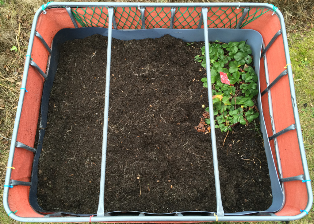 Raised flower bed - 2016-01-31