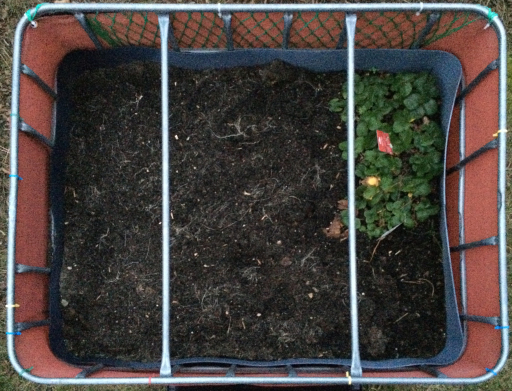 Raised flower bed - 2016-02-08