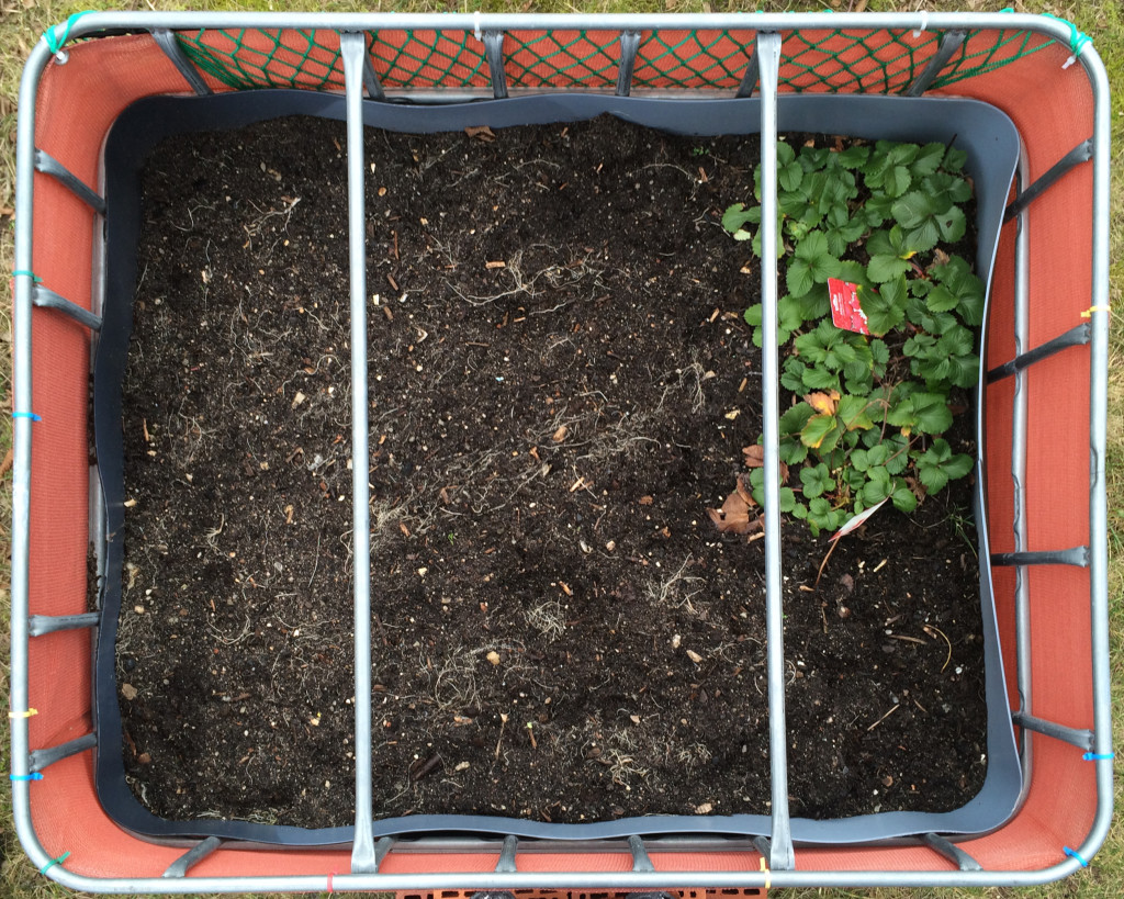 Raised flower bed - 2016-02-14