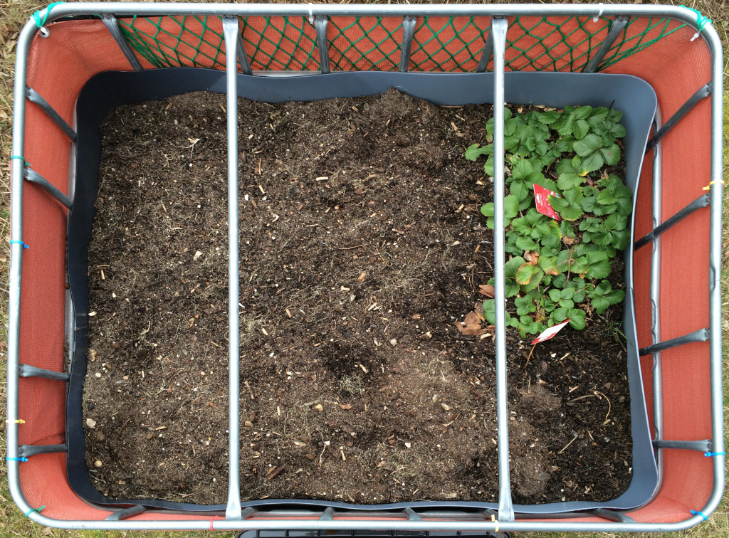 Raised flower bed - 2016-02-28