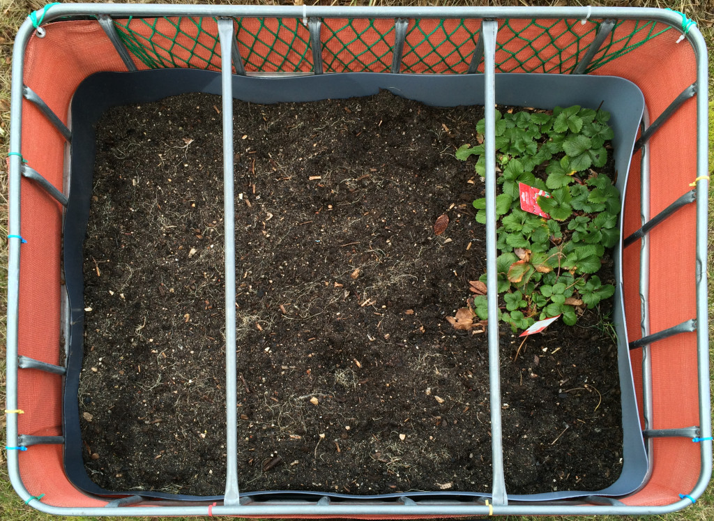 Raised flower bed - 2016-03-08