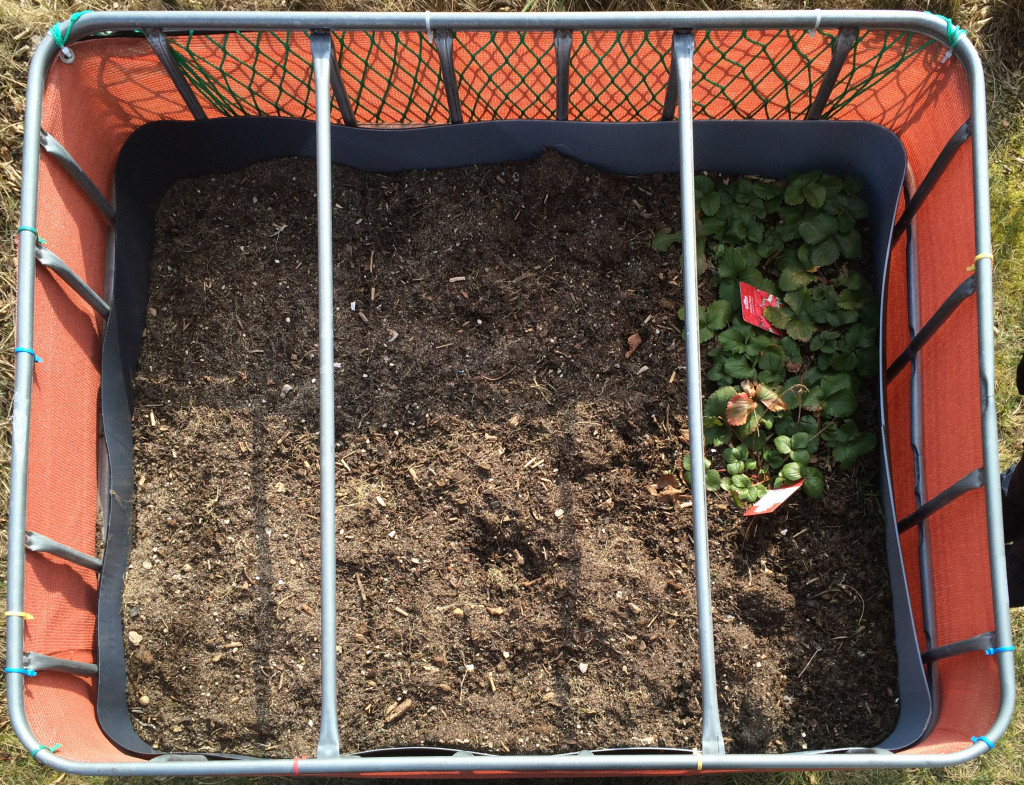 Raised flower bed – 2016-03-13