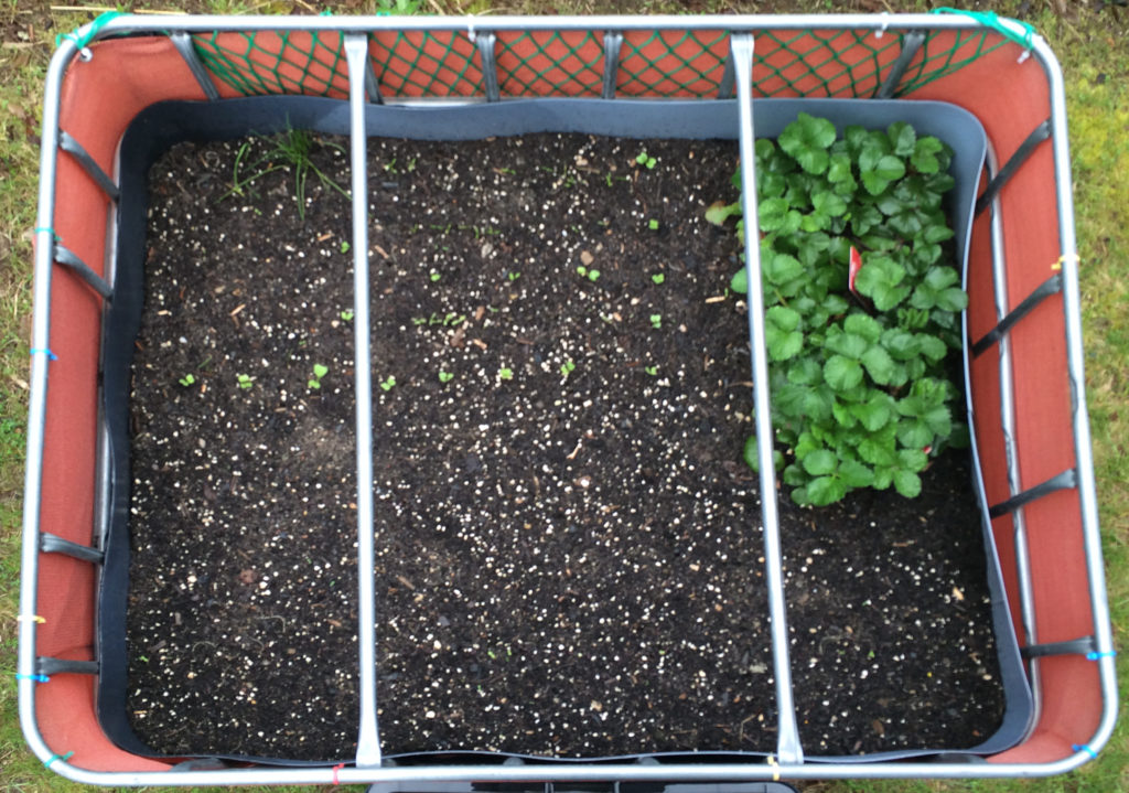 Raised flower bed – 2016-04-17