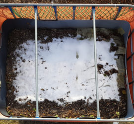 Raised flower bed - 2017-01-29