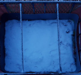 Raised flower bed – 2017-01-16