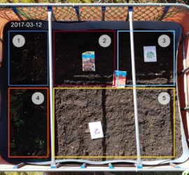 2017 Cultivation plan